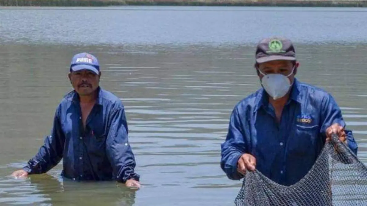 Personal de la Conagua arribó al lugar para inspeccionar el hecho